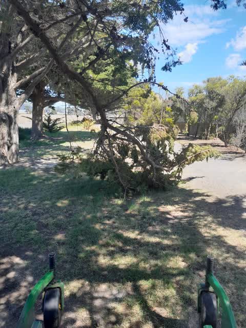 Parks, a report photo