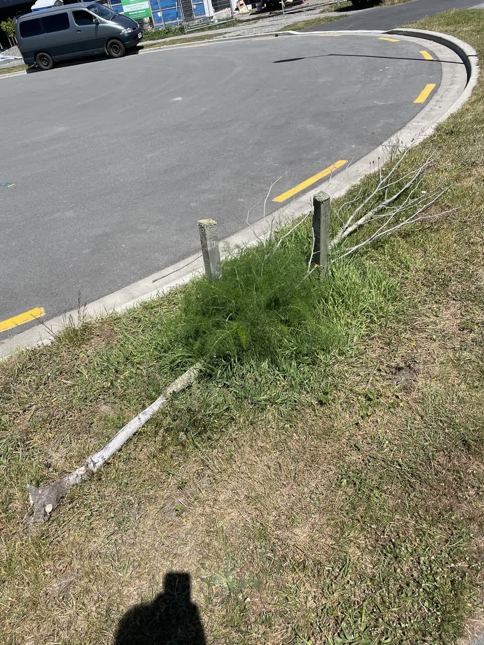 The photograph attached to this parks report