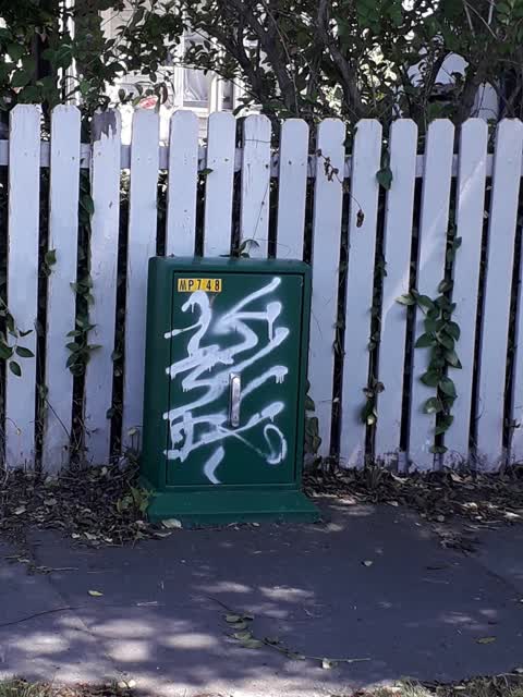 Graffiti, a report photo