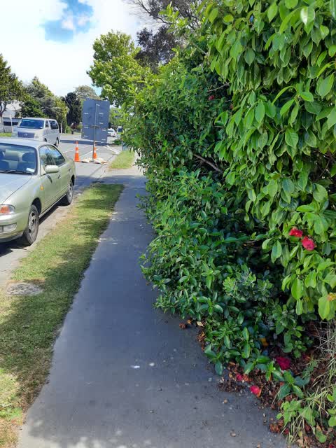 Roading/Streets, a report photo