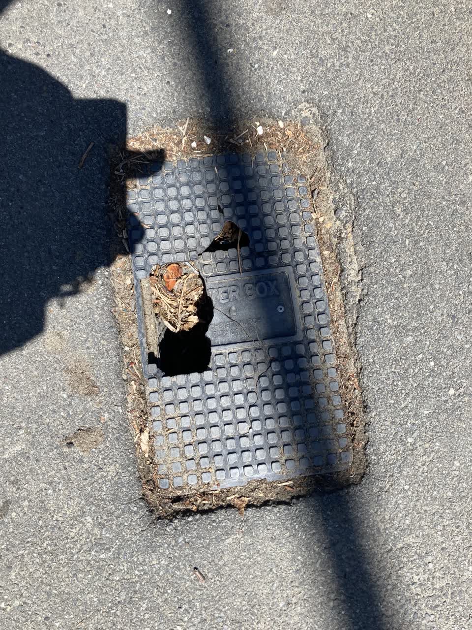 The photograph attached to this water supply report