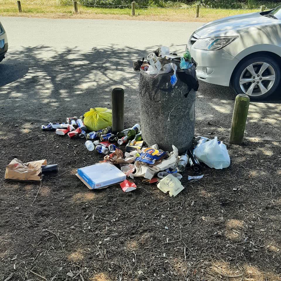 The photograph attached to this rubbish/recycling report
