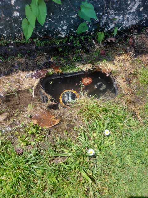 Water Leak, a report photo