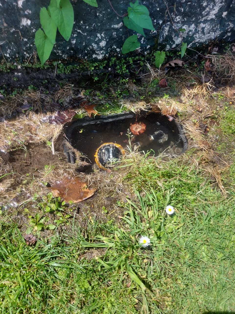 The photograph attached to this water leak report