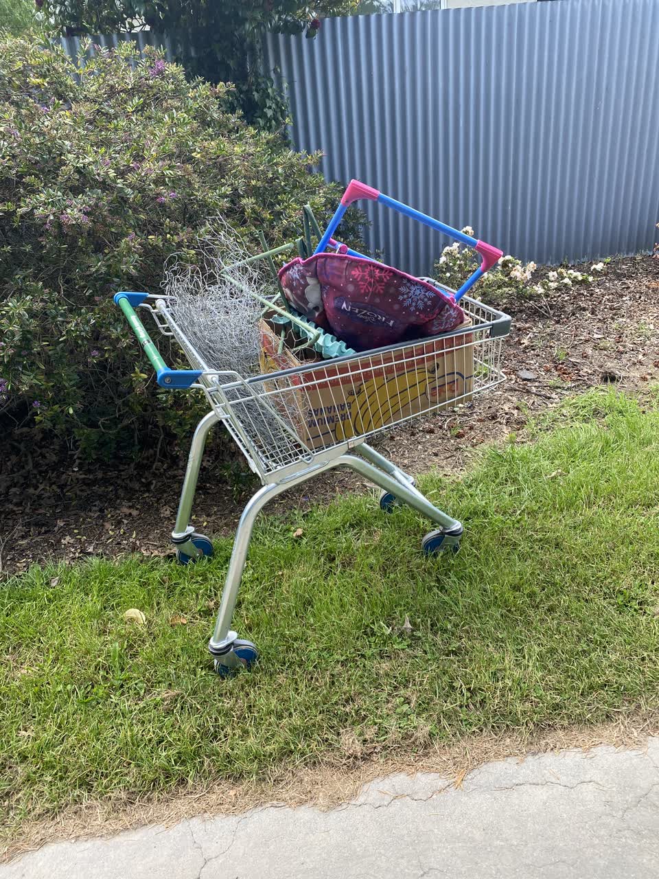 The photograph attached to this parks report