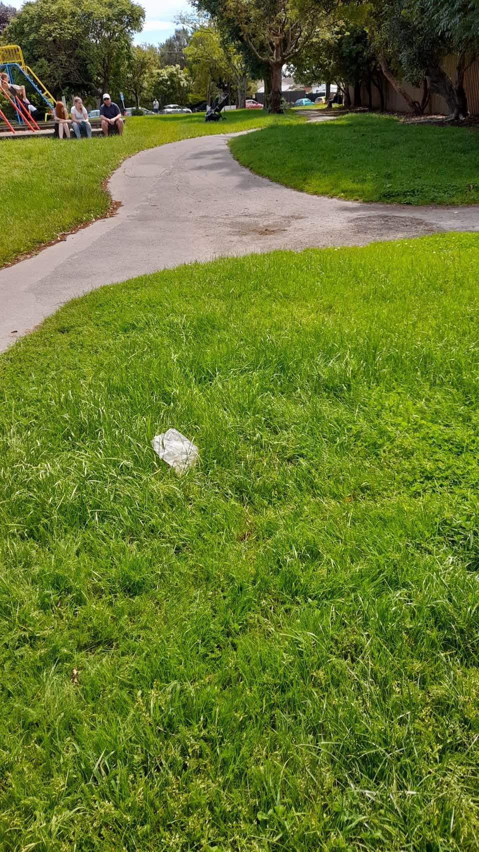 The photograph attached to this parks report