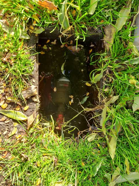 Water Leak, a report photo