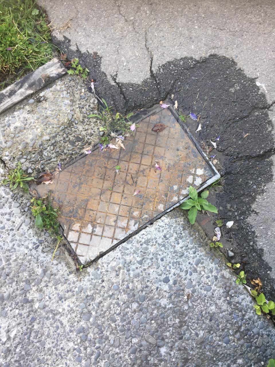 The photograph attached to this water leak report