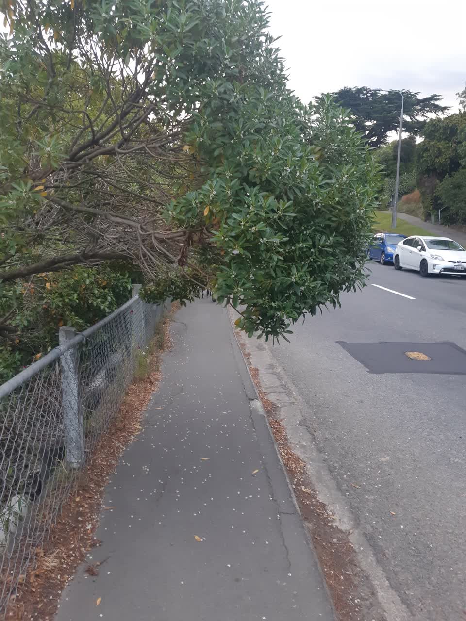 The photograph attached to this roading/streets report