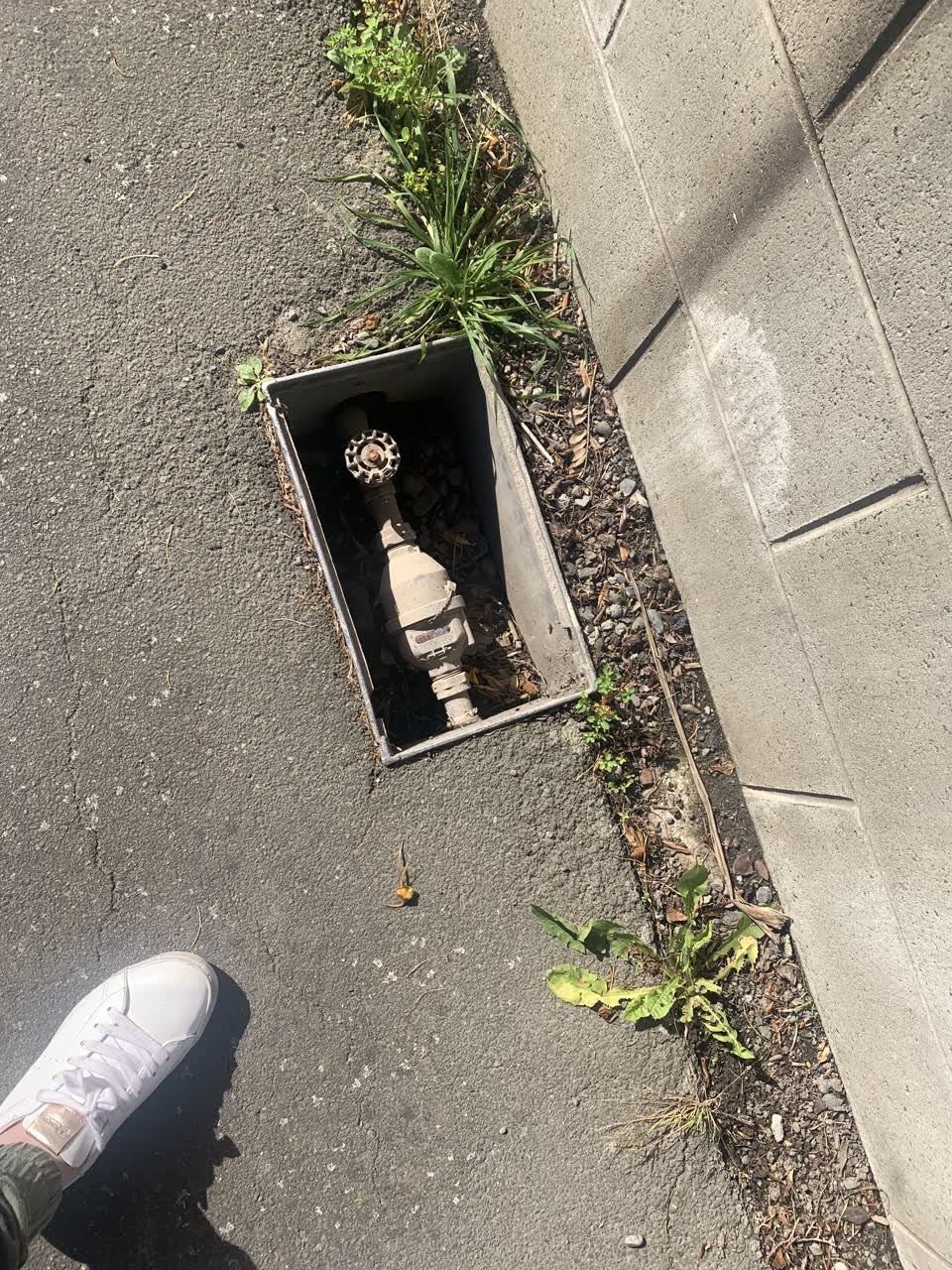 The photograph attached to this water supply report