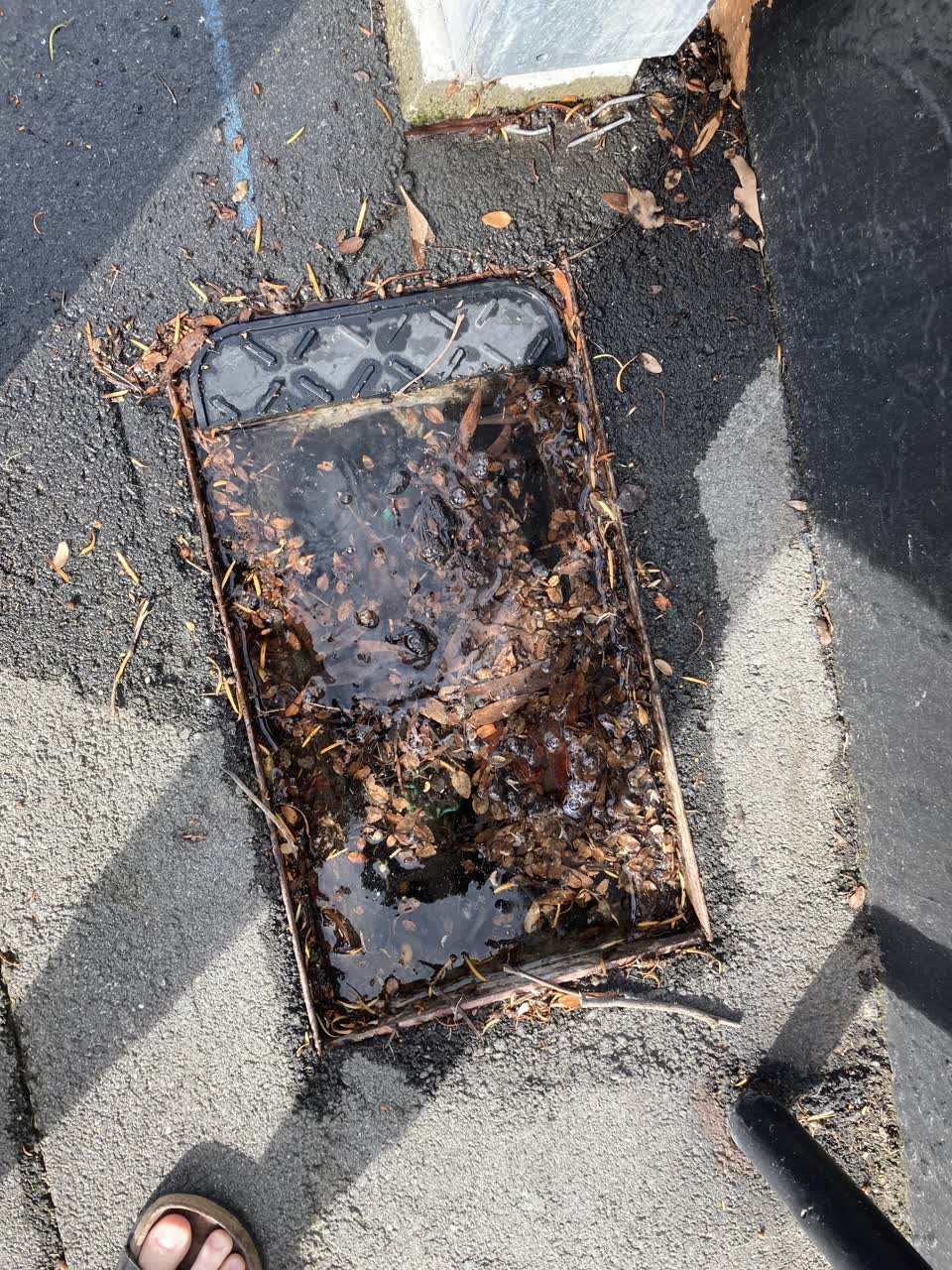 The photograph attached to this water leak report