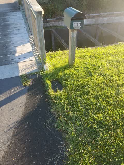 Water Leak, a report photo