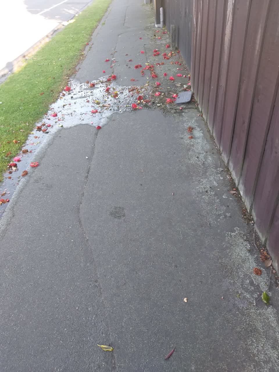 The photograph attached to this water leak report