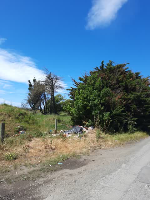 Rubbish/Recycling, a report photo
