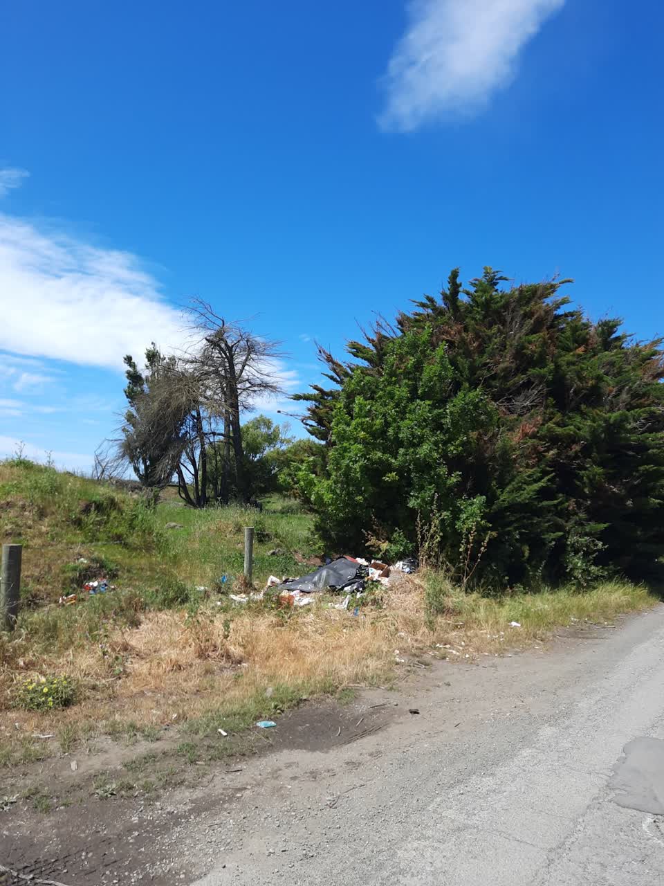 The photograph attached to this rubbish/recycling report