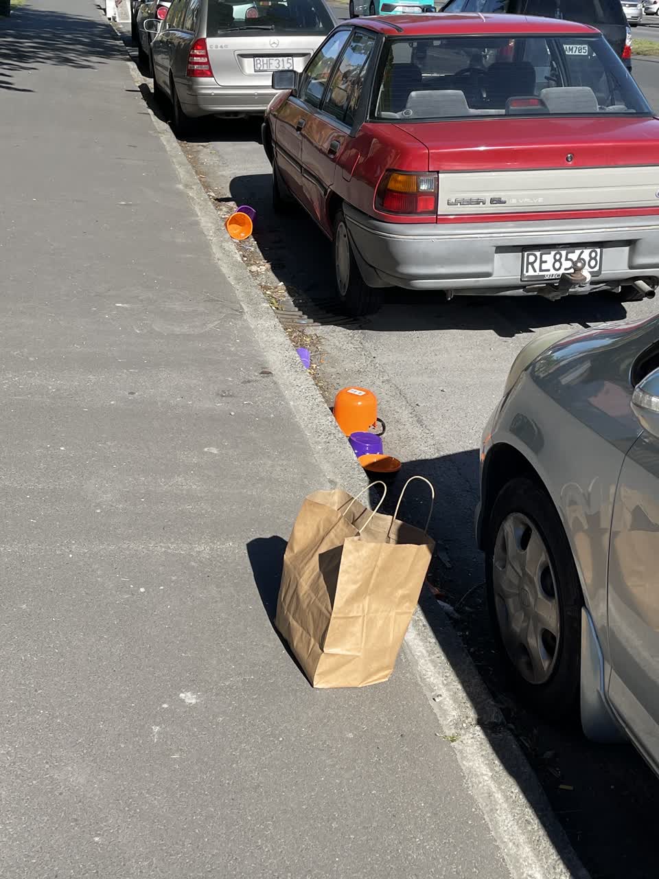 The photograph attached to this rubbish/recycling report