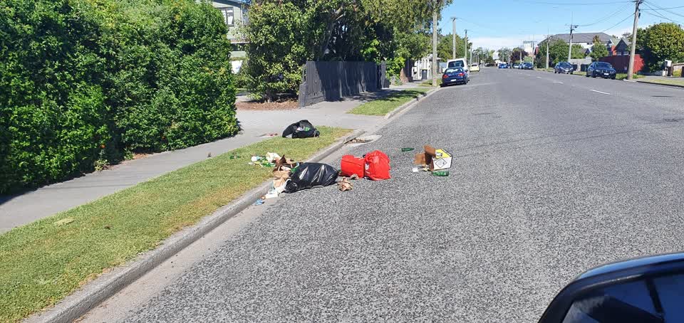 The photograph attached to this rubbish/recycling report
