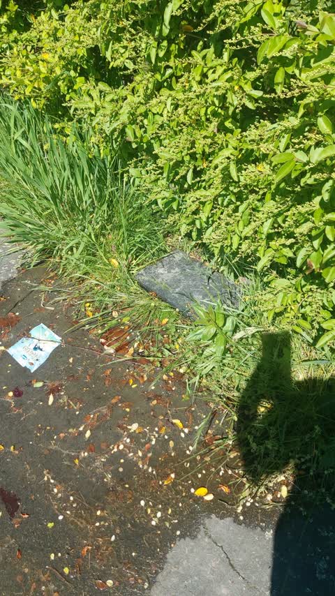 Water Leak, a report photo
