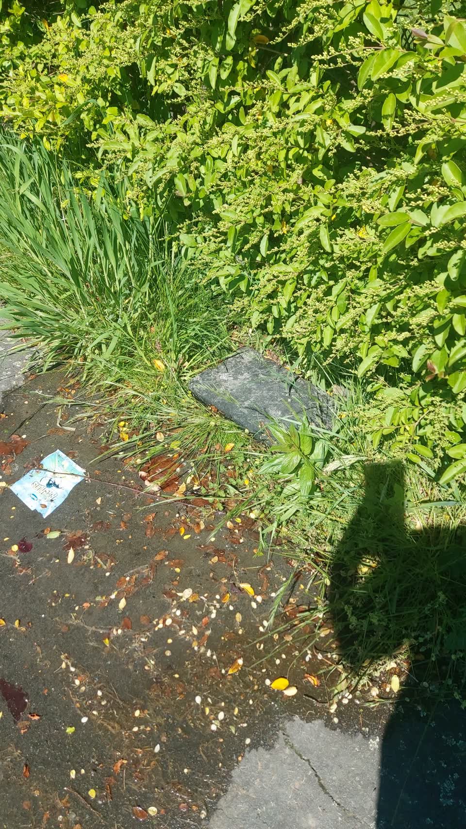 The photograph attached to this water leak report