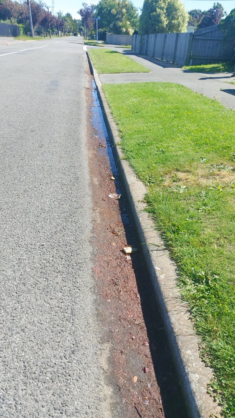 The photograph attached to this sewer - leak / blockage report
