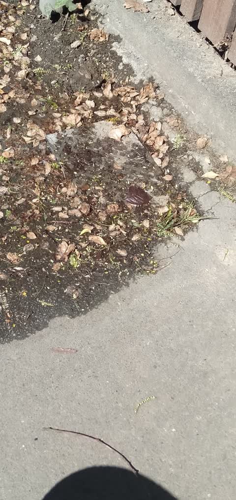 Water Leak, a report photo