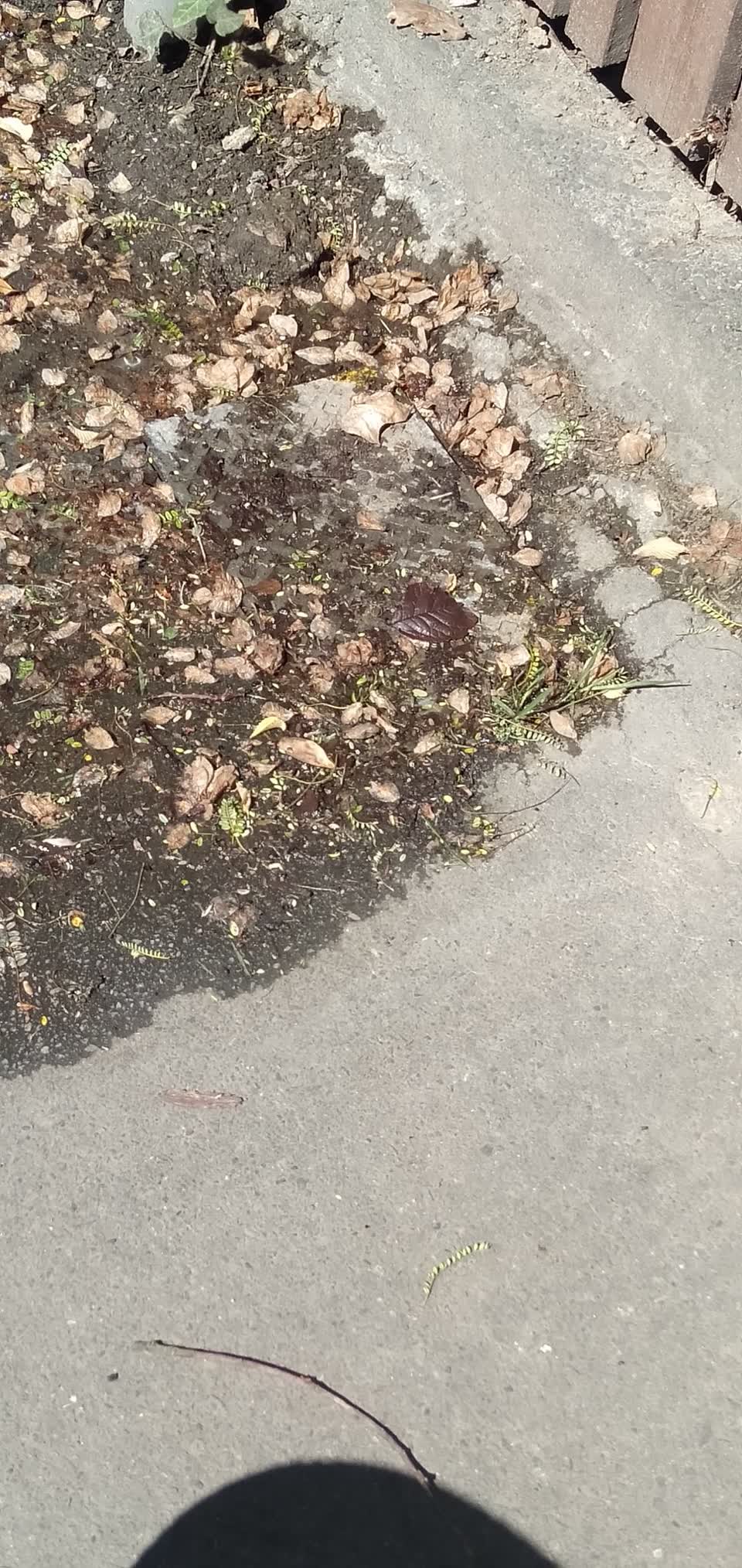 The photograph attached to this water leak report