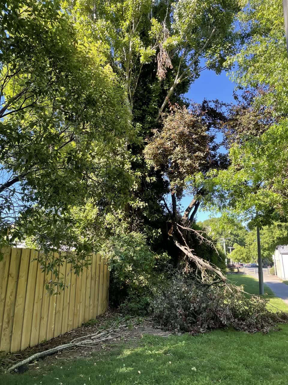 The photograph attached to this parks report