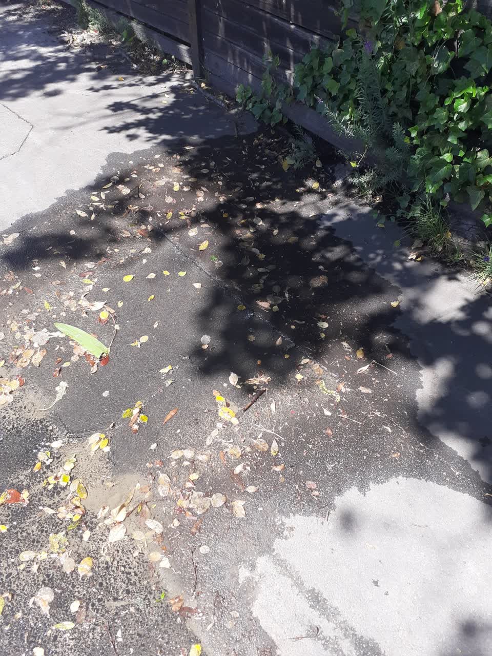 The photograph attached to this water leak report