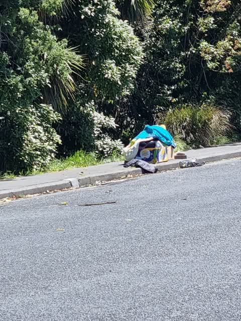 Rubbish/Recycling, a report photo