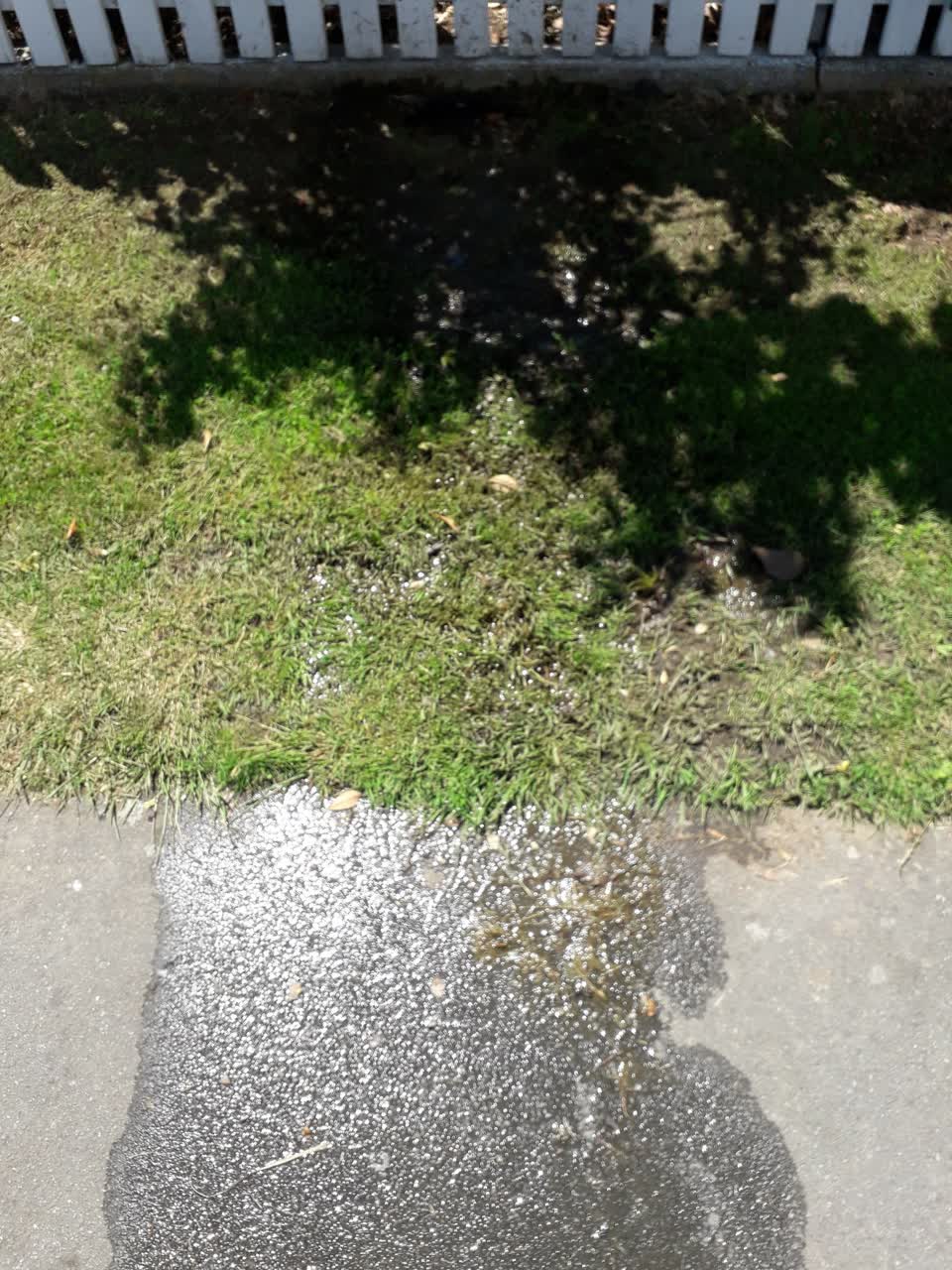 The photograph attached to this water leak report