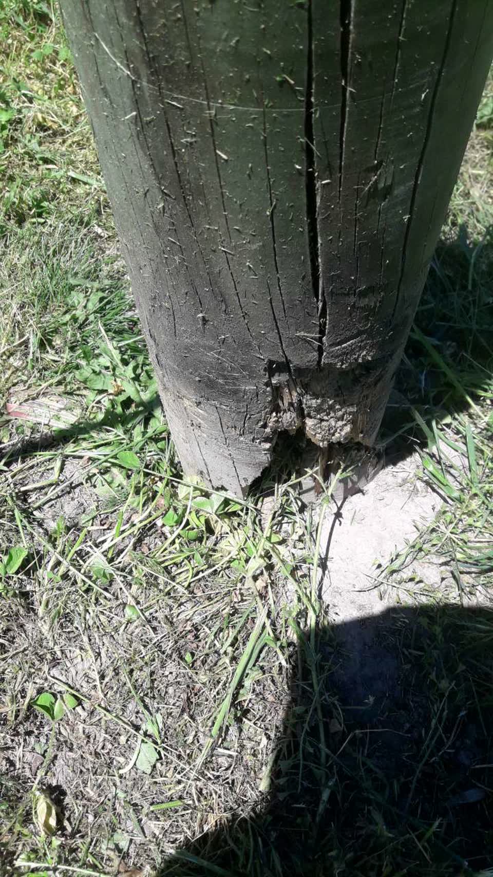 The photograph attached to this parks report