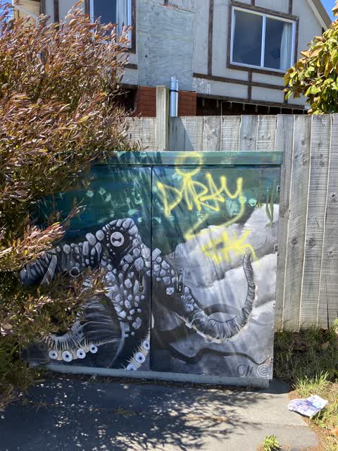 Graffiti, a report photo