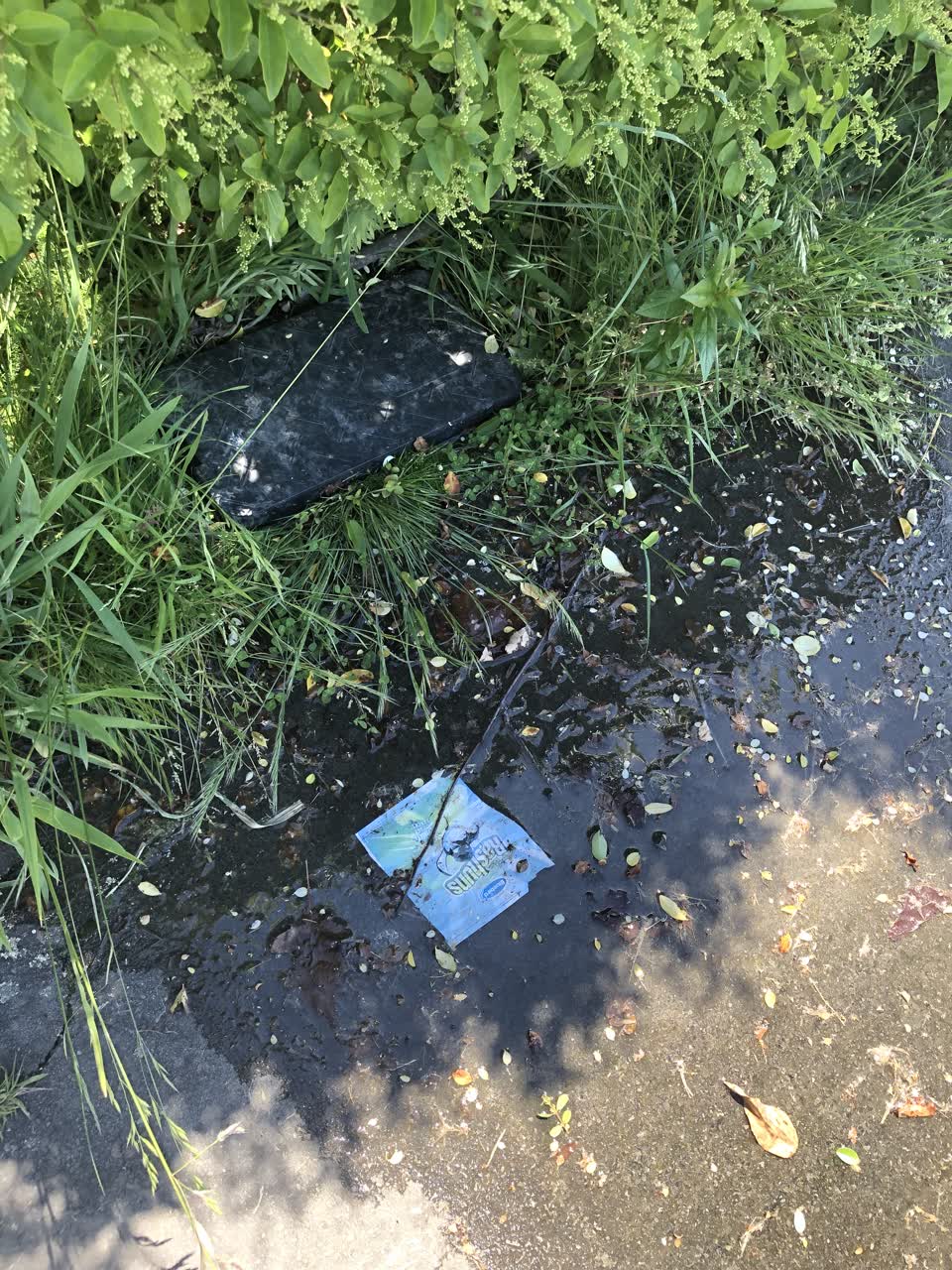 The photograph attached to this water leak report