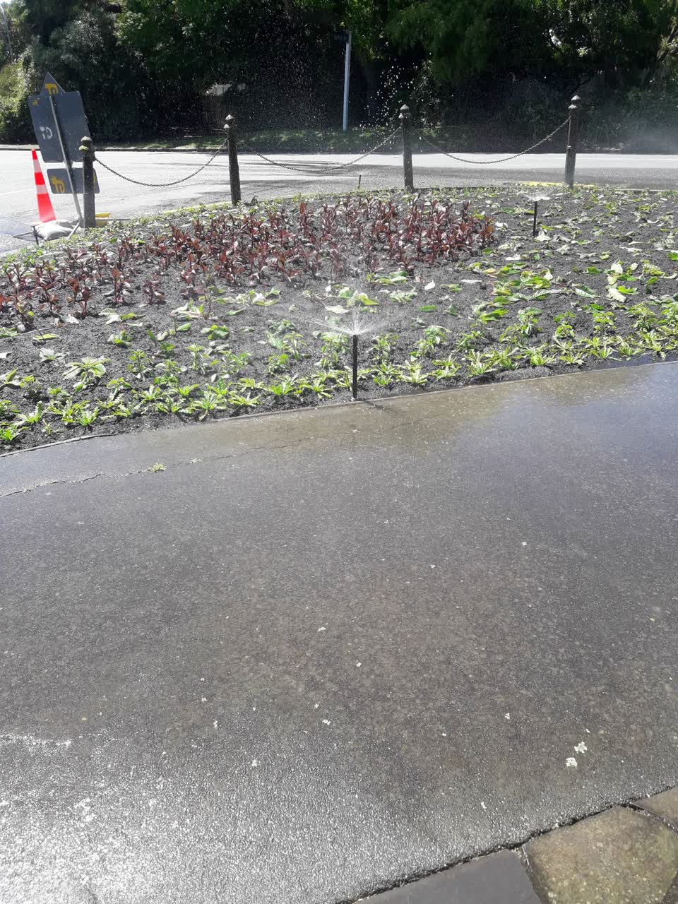 The photograph attached to this parks report