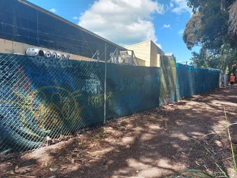Graffiti — a report photo
