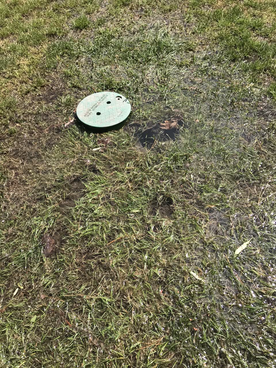 The photograph attached to this parks report