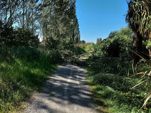Parks, a report photo