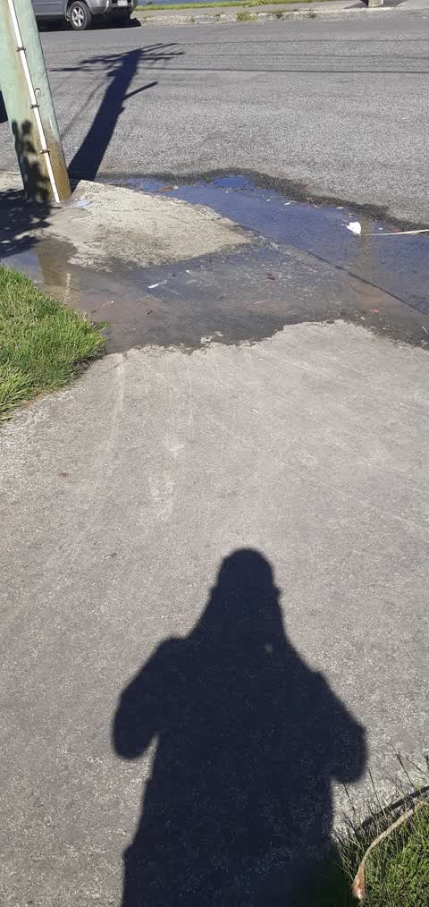 Water Leak, a report photo