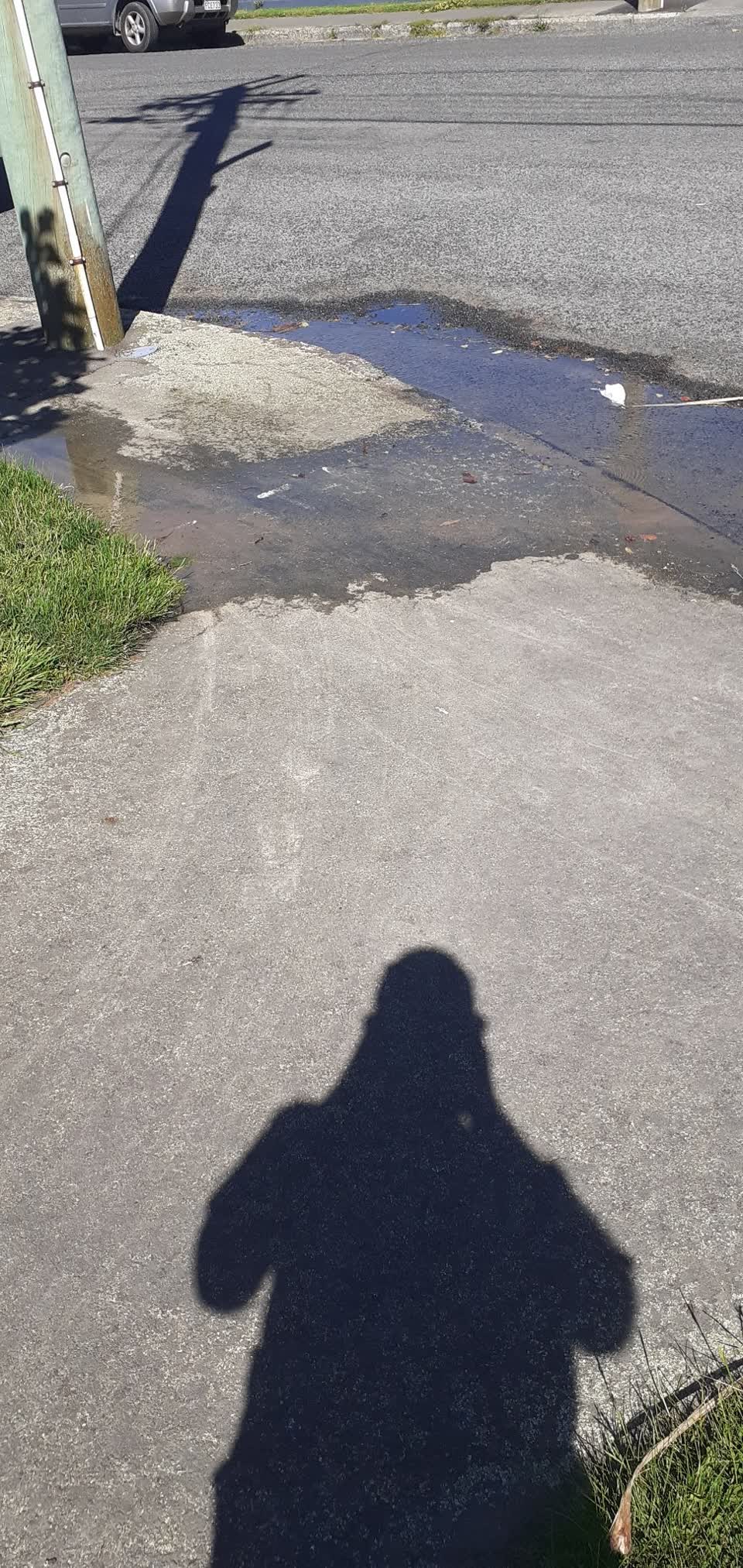 The photograph attached to this water leak report