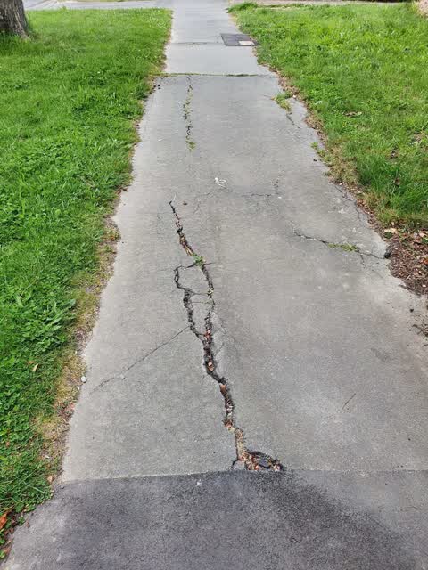 Roading/Streets, a report photo