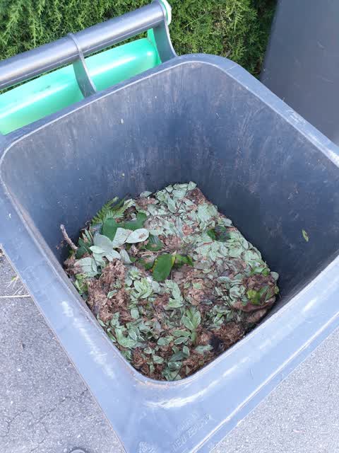 Rubbish/Recycling, a report photo