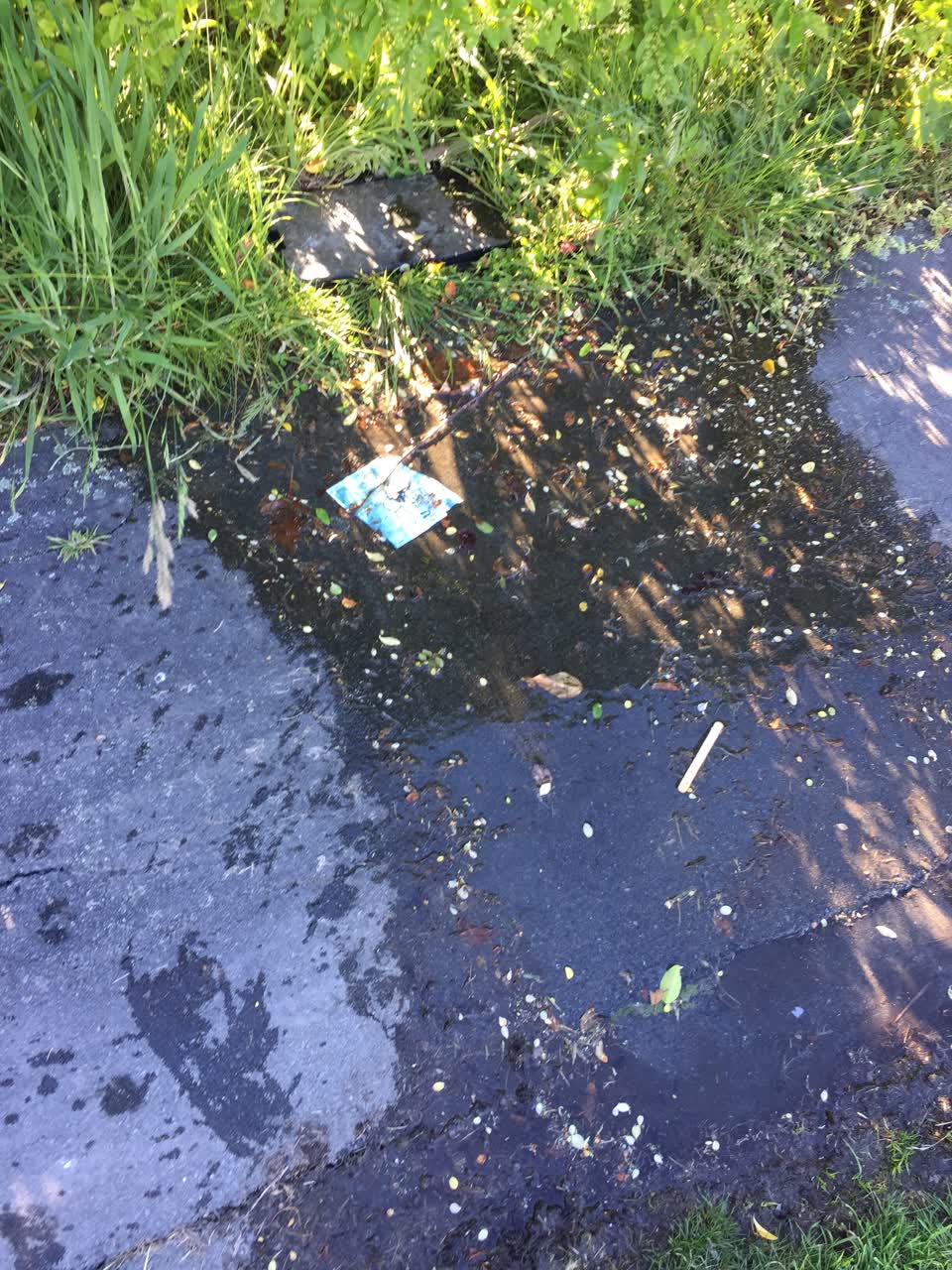 The photograph attached to this water leak report