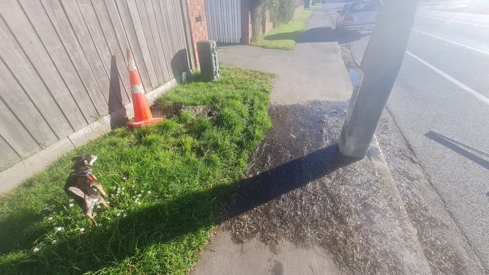 The photograph attached to this water leak report