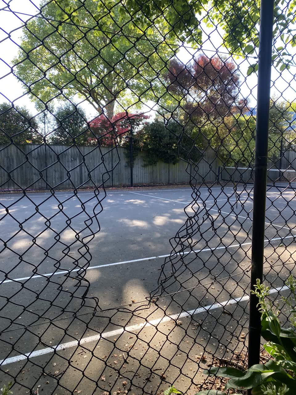 The photograph attached to this parks report