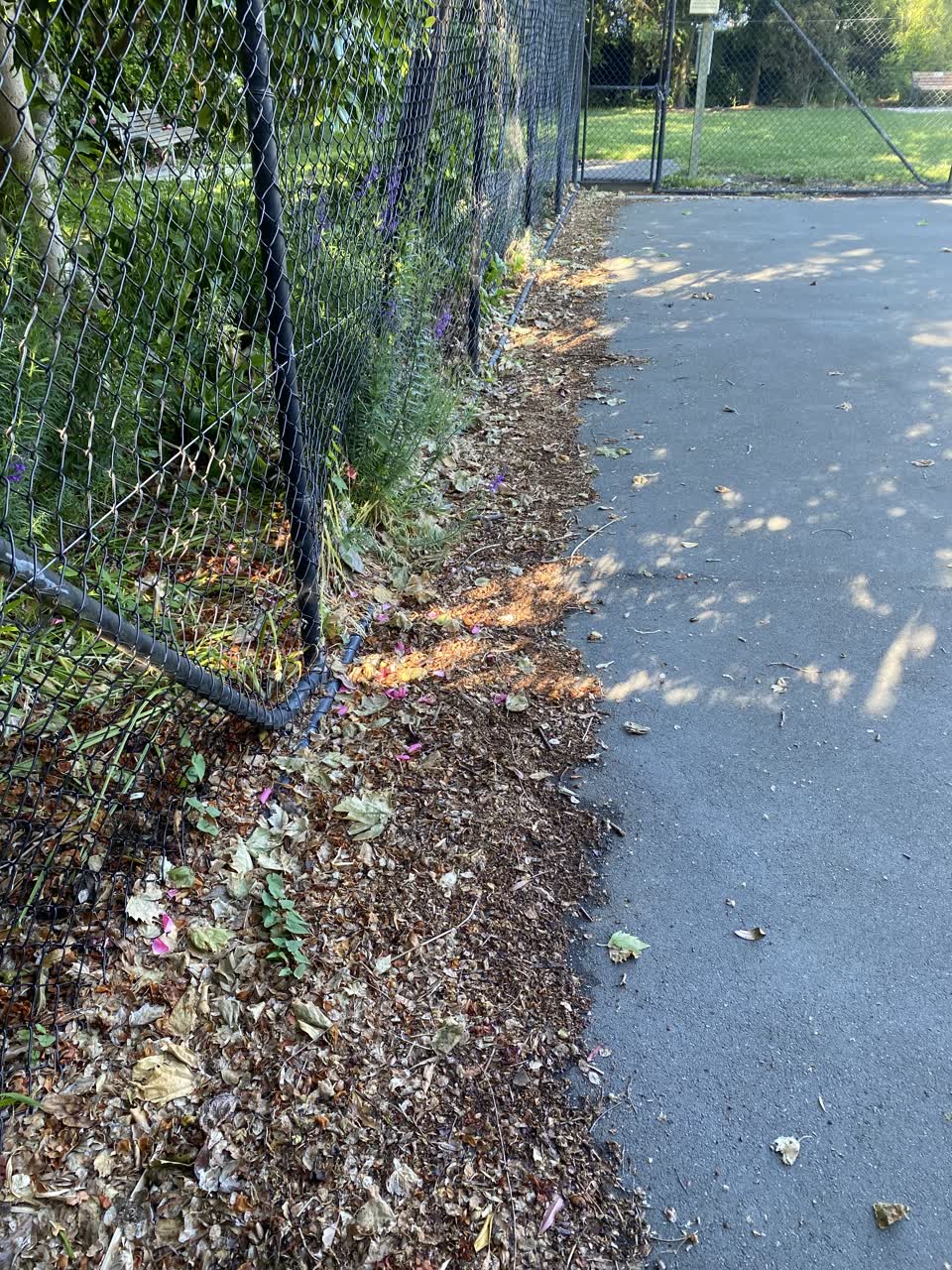 The photograph attached to this parks report