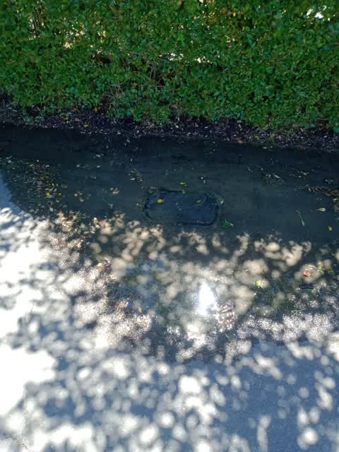 Water Leak, a report photo