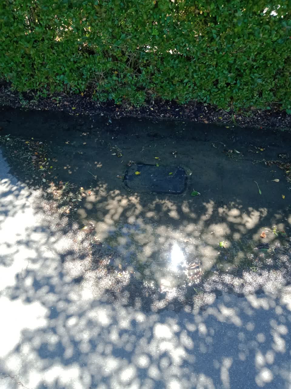 The photograph attached to this water leak report