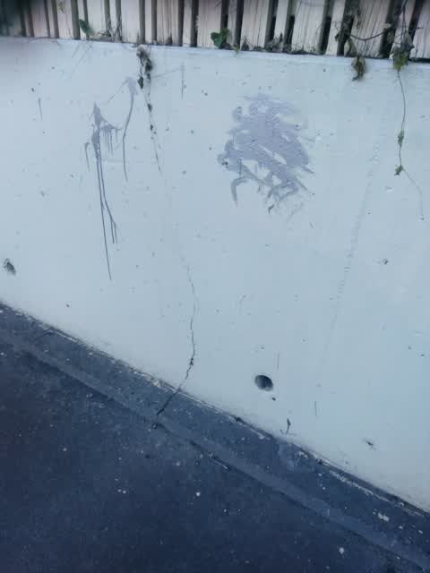 Graffiti, a report photo