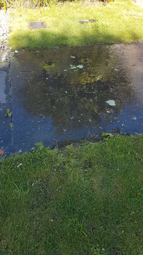Water Leak, a report photo