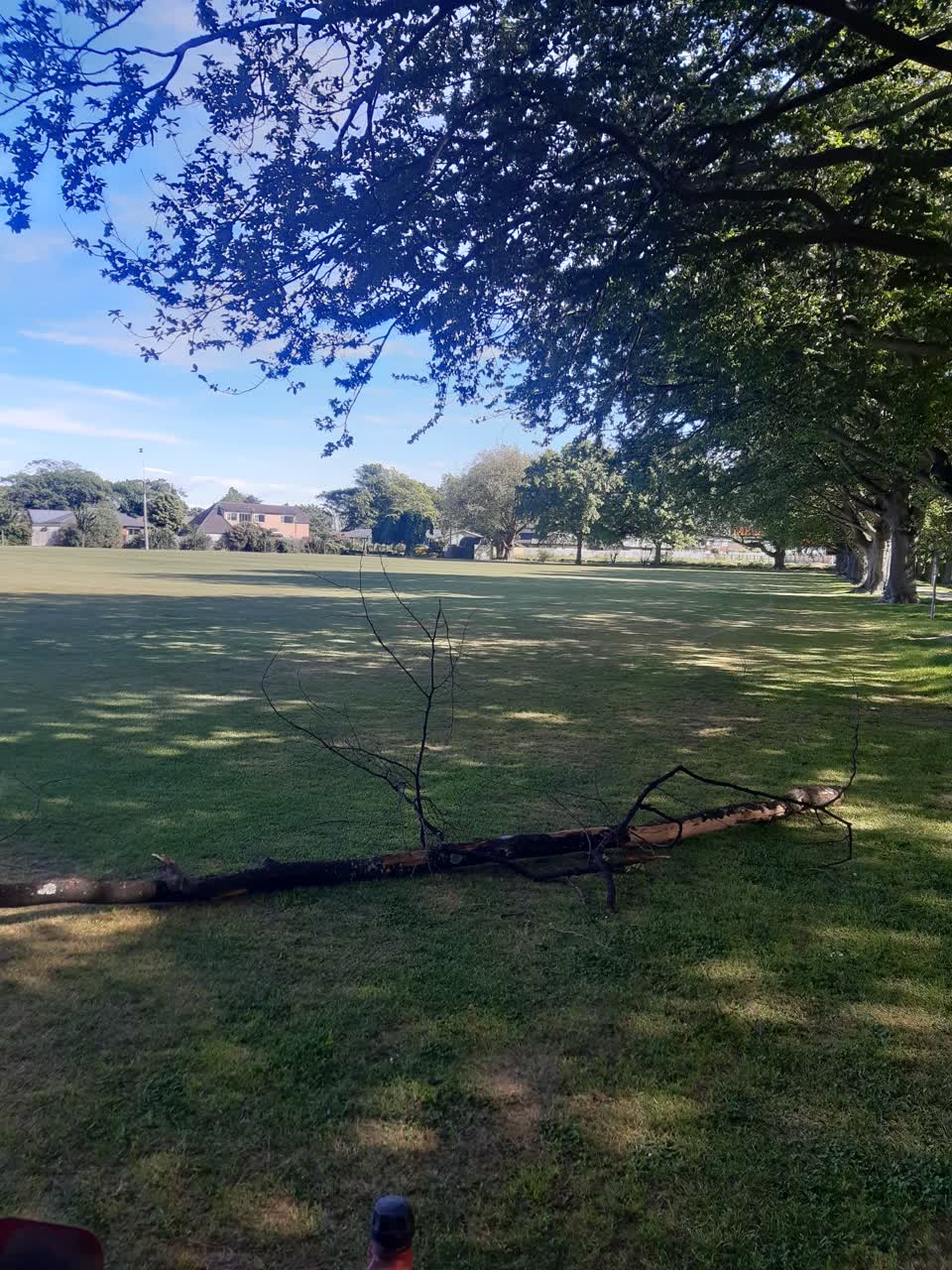 The photograph attached to this parks report
